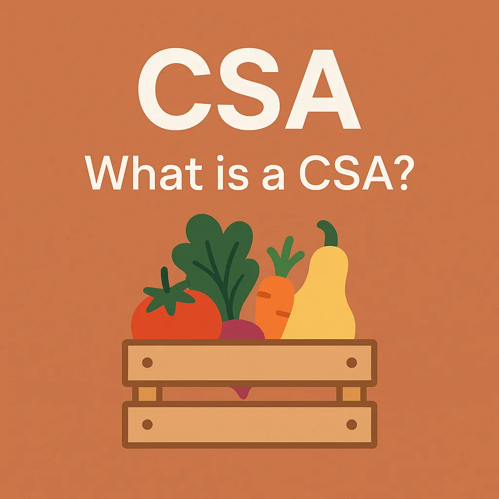 Illustration explaining Community Supported Agriculture