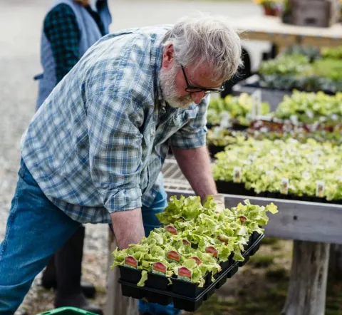 A grower lifting a tray of bedding plants at a market table